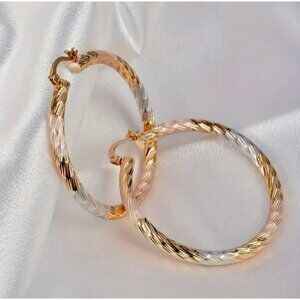 Dainty Gold Two-Tone Twisted Hoop